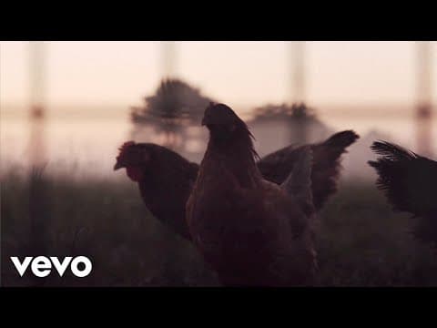 Fingers and Thumbs (Official Music Video)