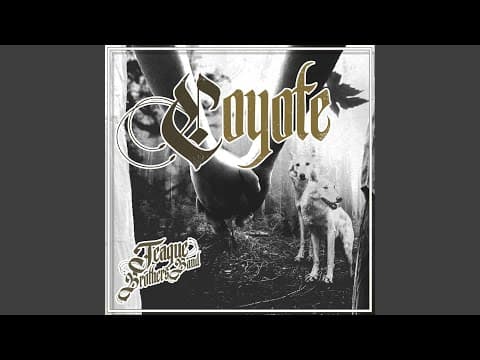 Coyote